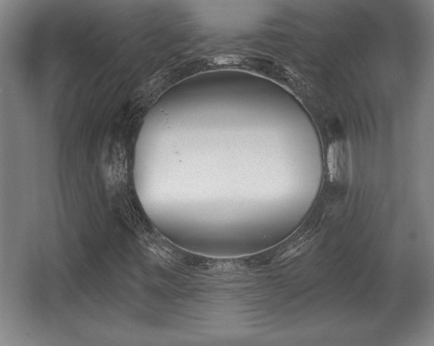 X0000068721443200605010921