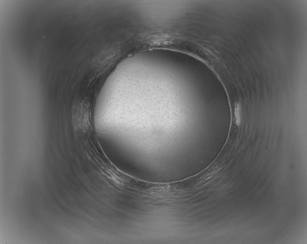 X0000068721444200605010921