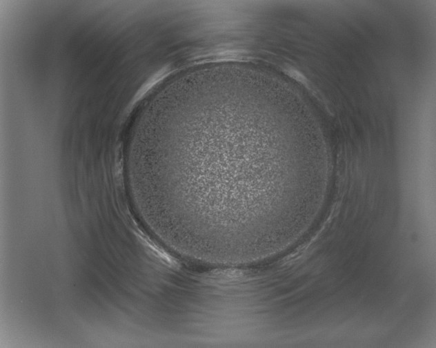 X0000068721450200605010921