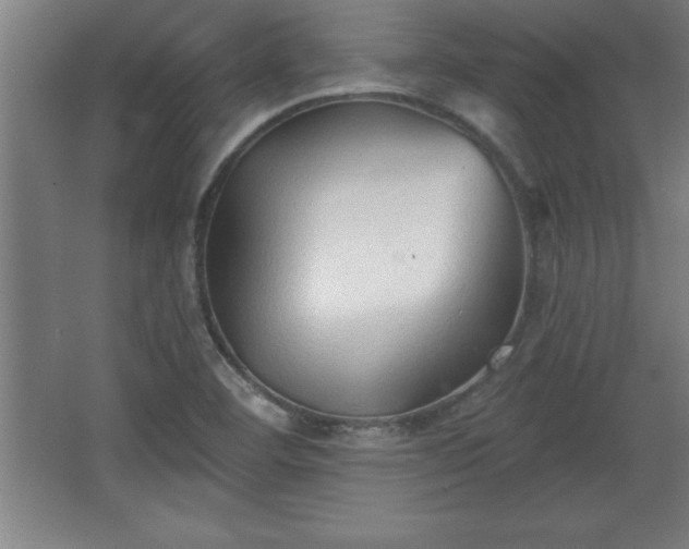 X0000068721460200605010921