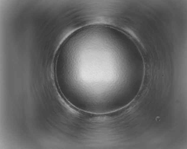 X0000068721468200605010921