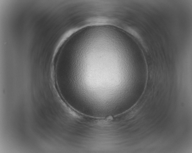 X0000068721472200605010921