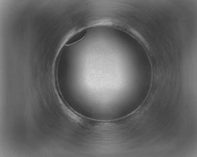X0000068721475200605010921