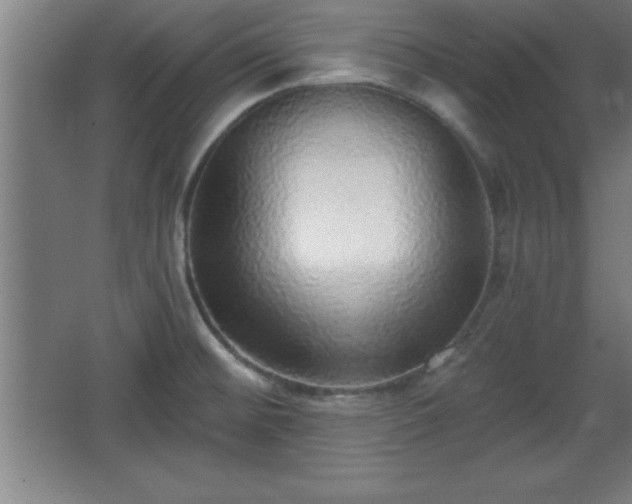X0000068721476200605010921