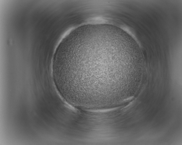 X0000068721477200605010921