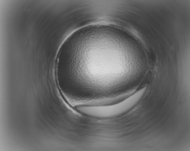 X0000068721484200605010920