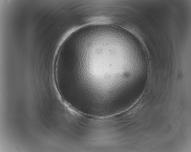 X0000068721488200605010920