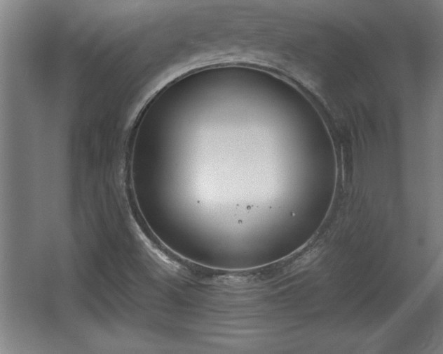 X0000068721500200605010920