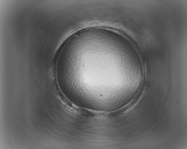 X0000068721501200605010920