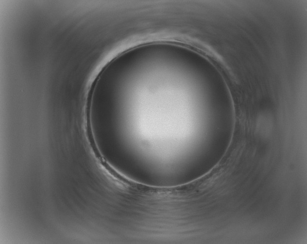 X0000068721512200605010920