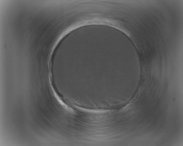 X0000068721515200605010920