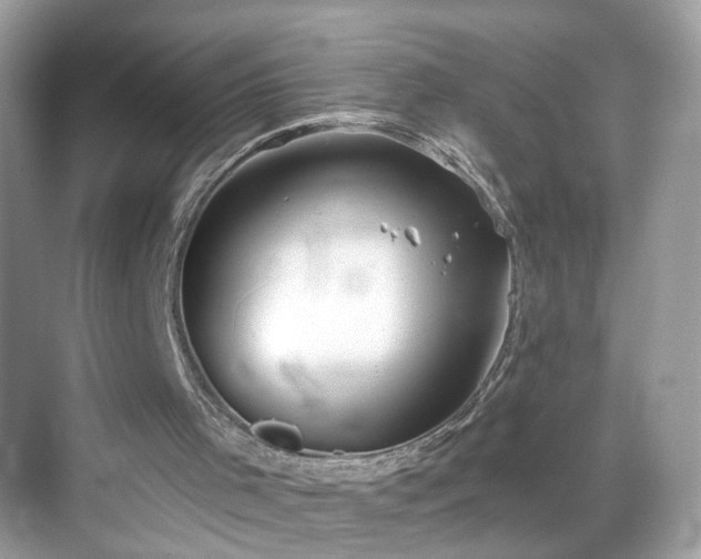 X0000068720001200605051445