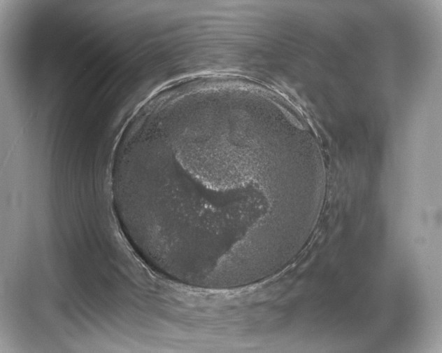 X0000068720002200605051445