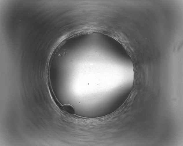 X0000068720003200605051445