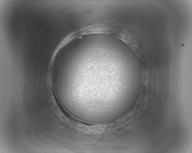 X0000068720004200605051445