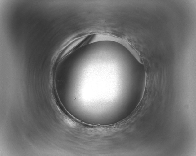 X0000068720005200605051445