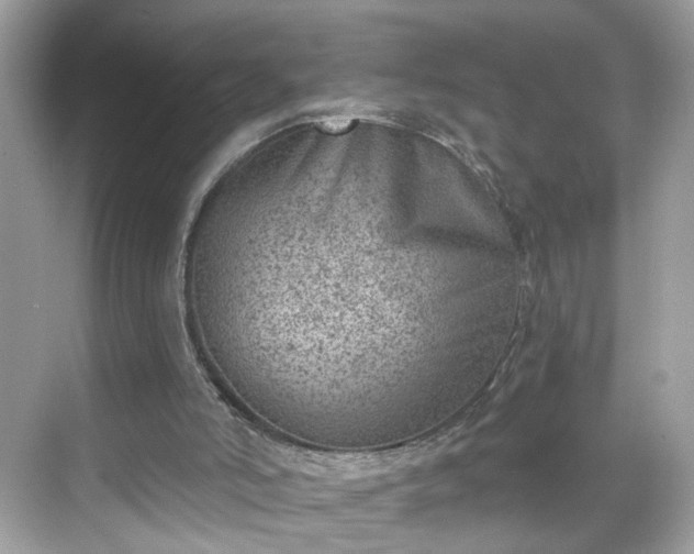 X0000068720006200605051445