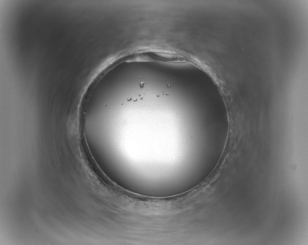 X0000068720008200605051445