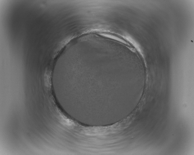 X0000068720009200605051445