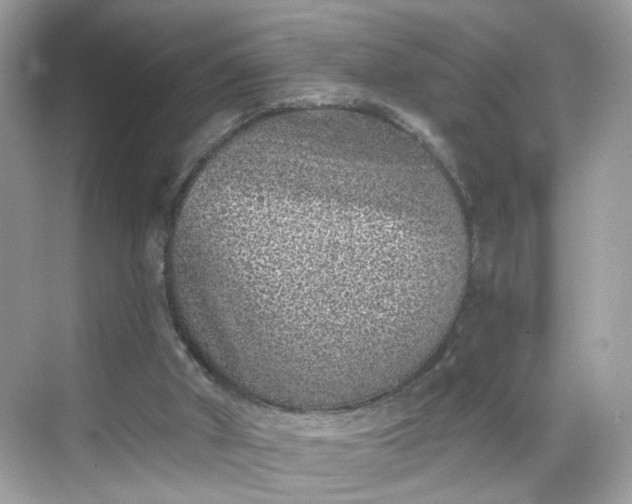 X0000068720010200605051445