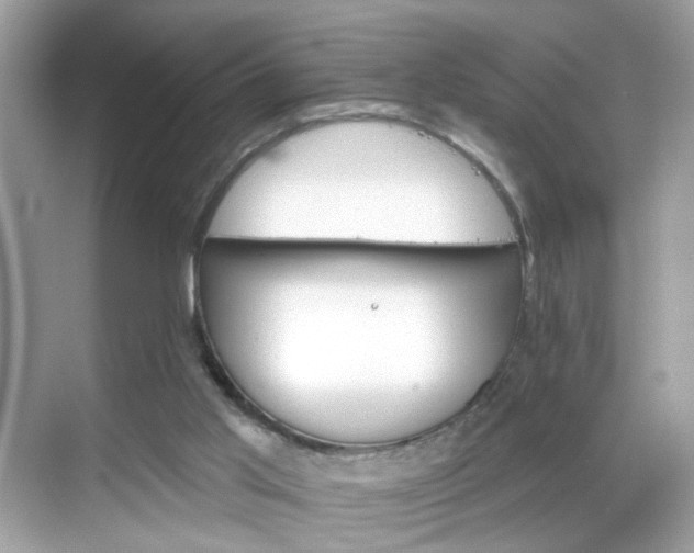 X0000068720013200605051445