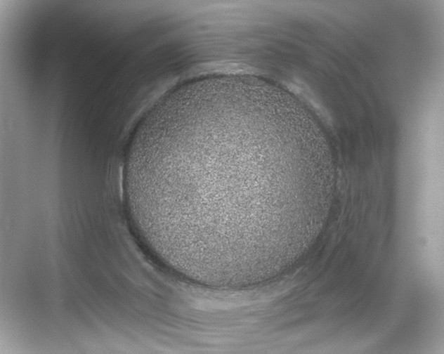 X0000068720014200605051445