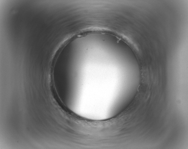 X0000068720015200605051445