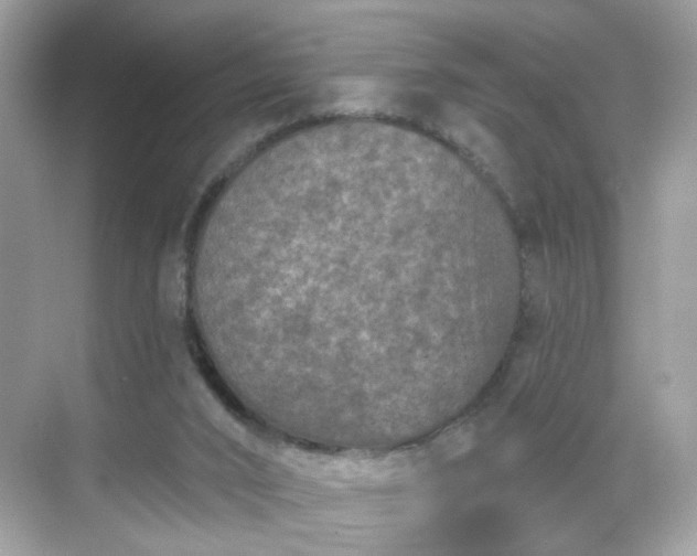 X0000068720016200605051445