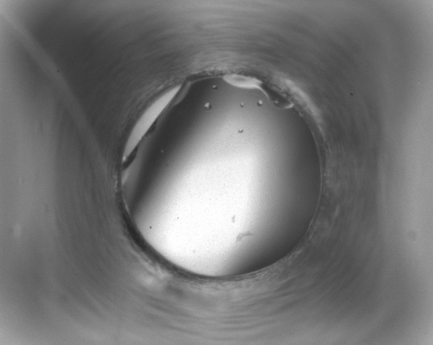 X0000068720017200605051445