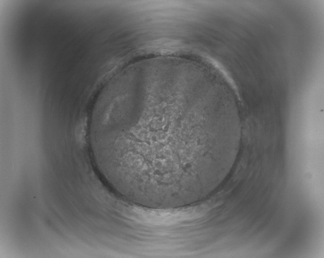 X0000068720018200605051445