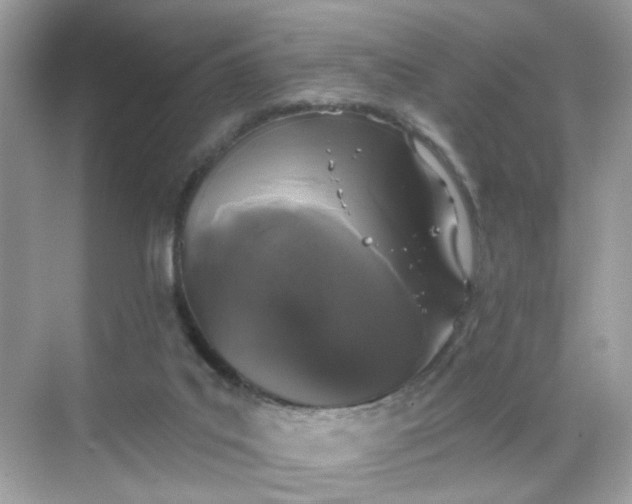 X0000068720019200605051445