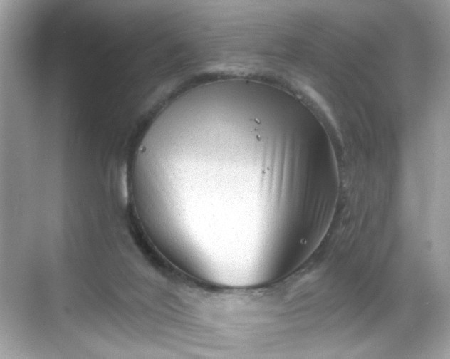 X0000068720020200605051445