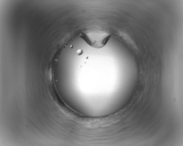 X0000068720021200605051445