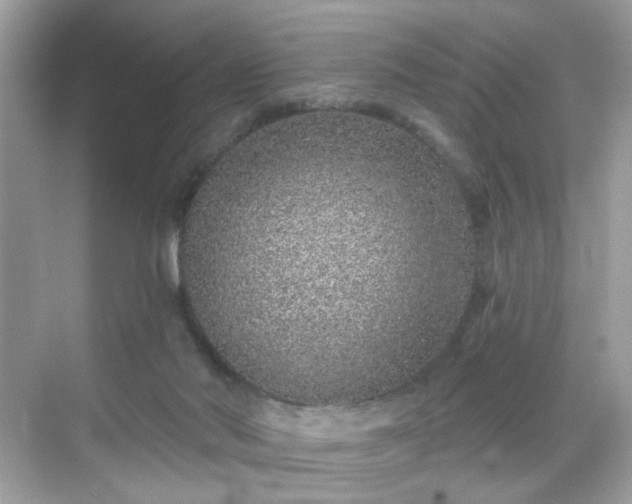 X0000068720022200605051445