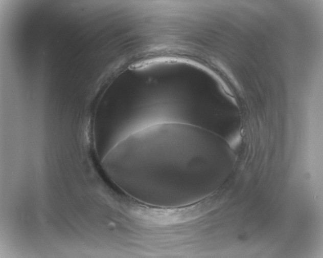 X0000068720023200605051445