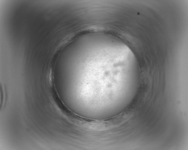 X0000068720024200605051445