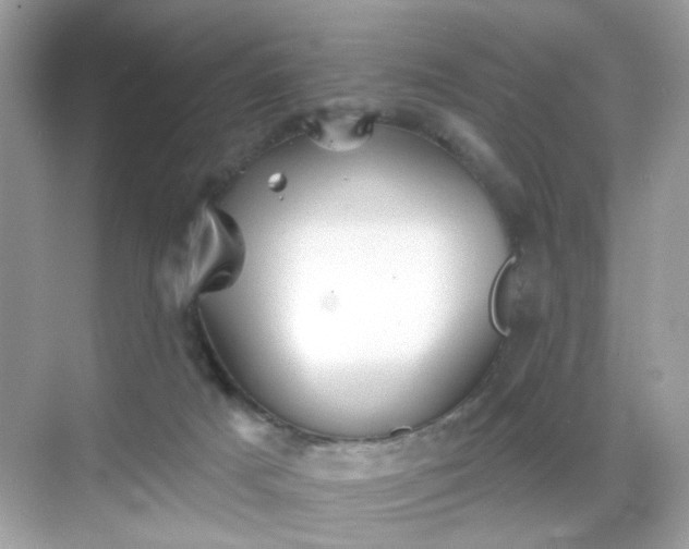 X0000068720025200605051445