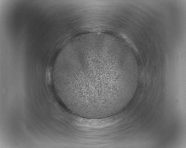 X0000068720026200605051445