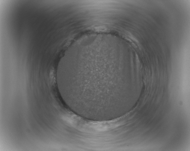 X0000068720029200605051445