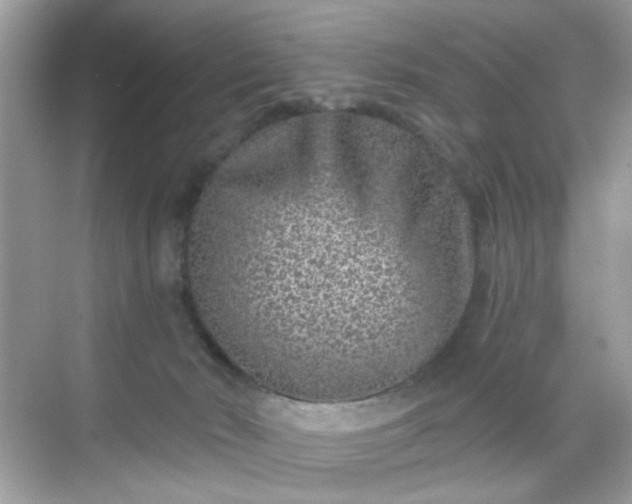 X0000068720030200605051445