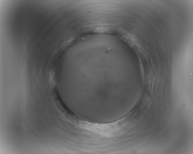 X0000068720031200605051444