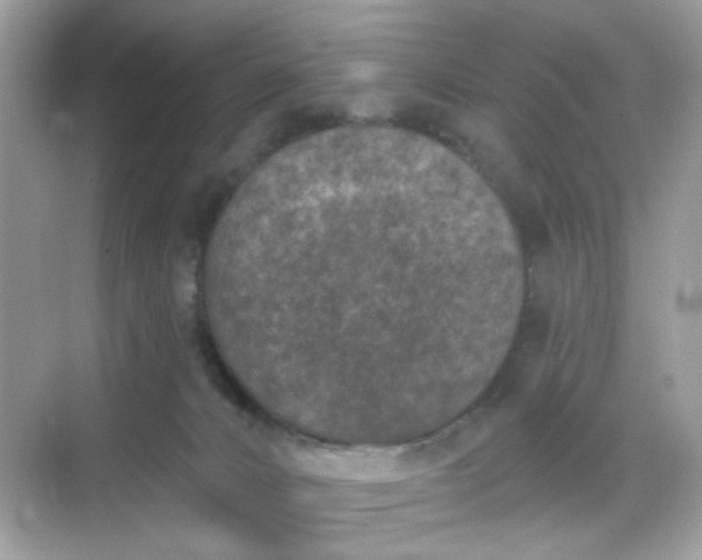 X0000068720032200605051444