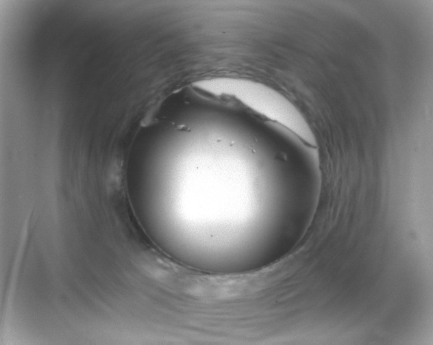 X0000068720033200605051444