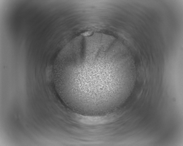 X0000068720034200605051444