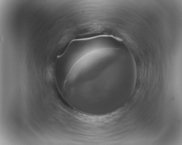 X0000068720035200605051444