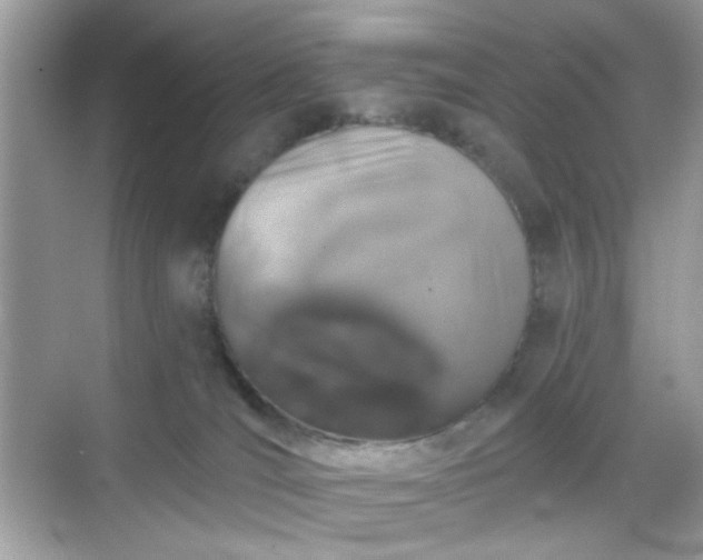 X0000068720036200605051444