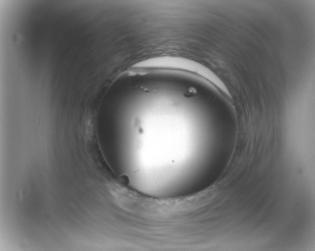 X0000068720037200605051444