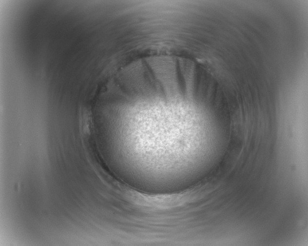 X0000068720038200605051444