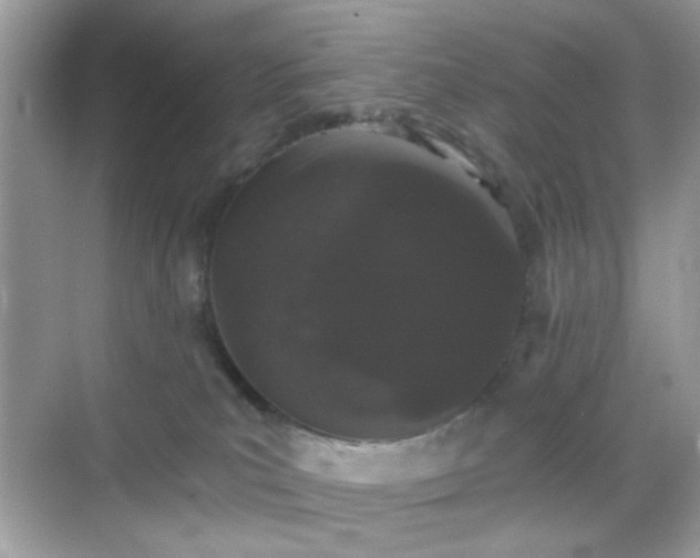 X0000068720039200605051444