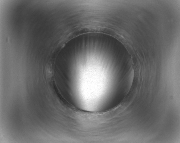 X0000068720040200605051444